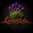 A Place to Grow - Home
