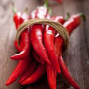 HOT PEPPER Seeds, Cayenne