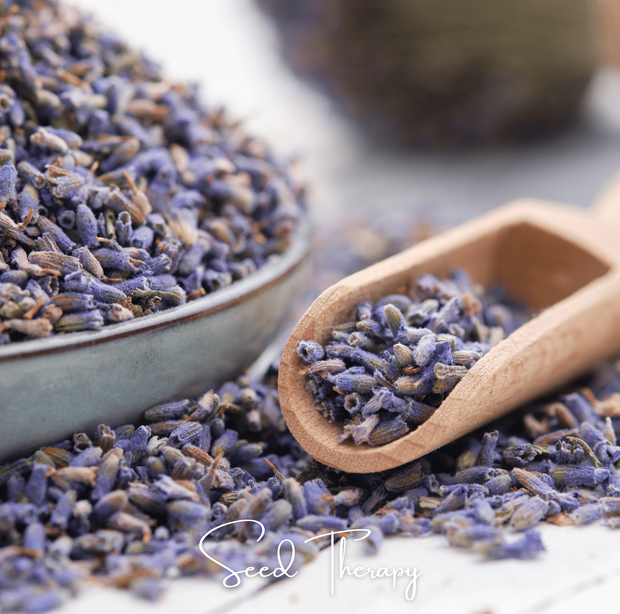 English Lavender – 100 Seeds
