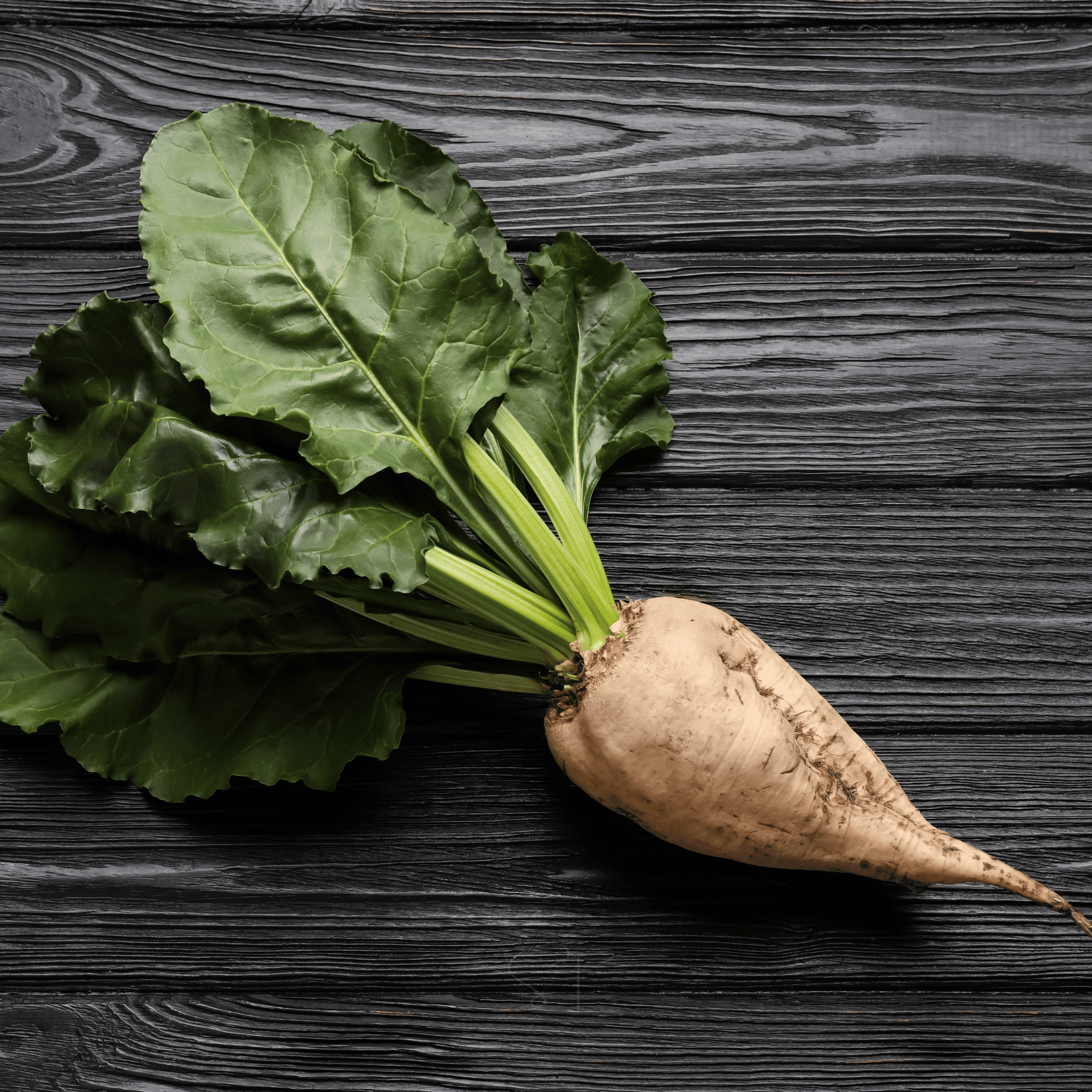 Sugar Beet – 50 Seeds